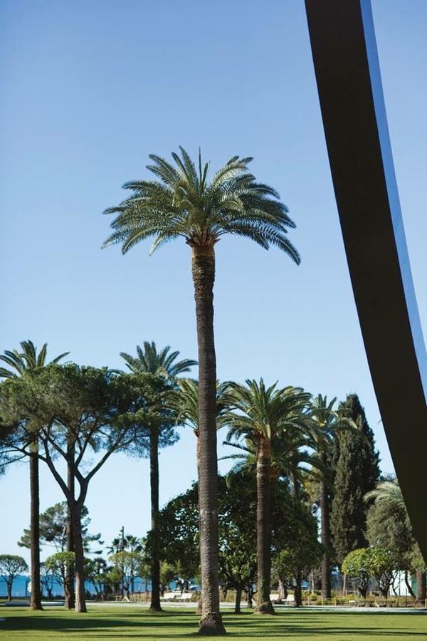 Ross 5- F2, Lumineux, Balcon, Loft, Clim, Vieux-Nice Buitenkant foto